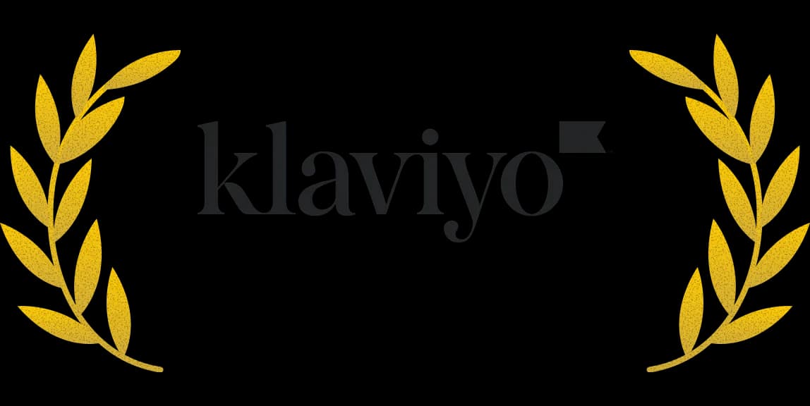 Official Klaviyo Master Platinum Partner